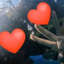 거북이약국 이미지