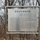 동림산성 이미지