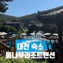 대천마을 내 | 대천여행 숙소 통나무리조트펜션 프라하 201호 숙박 후기
