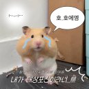 대상(주) | 31살에 대상포진 걸려서 황당한 여성 [증상,치료,흉터,후기]