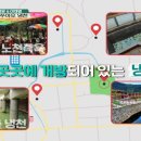 냉천목장 네이버블로그