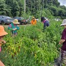 도평경로당 이미지