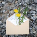 시노래 페스티벌 이미지