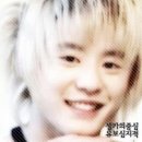 심텔 Daum카페