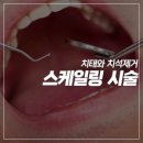 해마루치과의원 이미지