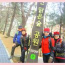 대공원입구로 이미지