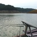 용성좌대 이미지