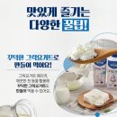 매일바이오 그릭요거트 드링크&amp;딜라이트 요거트 체험단 후기