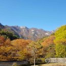 절정단란주점
