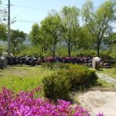 양구해안선사유적 이미지