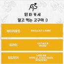 댕마카세 이미지