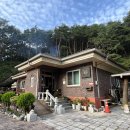 봄여름가을겨울펜션민박 | 단양 단체 독채 펜션 추천 봄여름가을겨울 민박 이용 후기