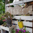 산촌민박 이미지