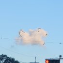 씨유 배곧중앙점 | 지랄을 할거면 적당히 해야지 사람이 화나서 죽을 지경까지 지랄을 하면 그게 지랄이냐 살인이지 8월아