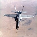 미해군 전투기로 재탄생한 Northrop YF-17 Cobra 이미지