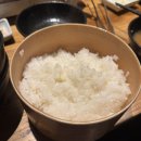 용나베 | 모츠나베 라쿠텐치 요도바시 하카타역점 | 하카타역 로피아 모츠나베집 솔직 후기 | 비추천 후기