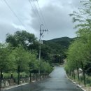 포레스트 경주(Forest 경주) 이미지