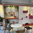 매화 | 경남 양산 디저트 추천, 선물하기 좋은 매화샌드 방문 후기