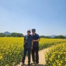2026 5월 전신자 기차여행 이미지