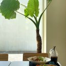 NR-48[김포대로]-상-4 | 김포 대형카페, 컨텍스트 브런치 카페 후기