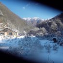 푸른산농원 이미지