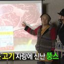 냉삼사오