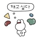 크래커클라이밍