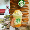 멜론 | 후쿠오카 다자이후 스타벅스 시즌 메뉴 추천 멜론 프라푸치노 후기 + 버스투어