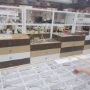 교내안경 이미지