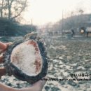 성환엘크사슴농장 이미지