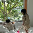 생일민박 이미지