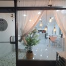 몽실몽실애견미용 이미지