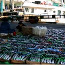 여수수협 앞 이미지