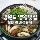 참살이발효식품 | 강원도 영월 맛집 물바람버섯농장 방문 후기