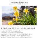 화요일아침예술학교 | (대안학교/인가형) 화요일아침예술학교 2026 신입생 입학안내