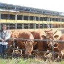 만희농장 이미지