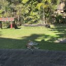 드림월드타운 이미지