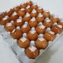 참나무촌