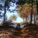 유몽인선생묘역 이미지