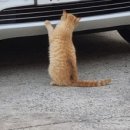 엘지민박 이미지