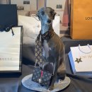 멍품유치원 이미지