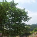 풍경버스 이미지