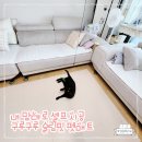 노령묘 관절 지킴이! 구루구루 슬림핏 고양이매트 폴딩형