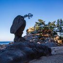송지호해변(서낭바위) | 강원도 고성 여행 송지호해변 볼거리 서낭바위 국가지질공원암석
