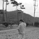 선어대생태공원 이미지