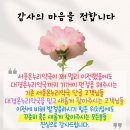 대경약국 이미지