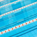 구.백성초 이미지