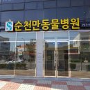 모던동물병원 이미지