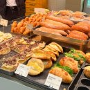 궁전제과 | 광주빵집 궁전제과 완두도넛 리뉴얼 내돈내산 솔직후기 광주신세계빵집