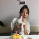 봉식농장 이미지